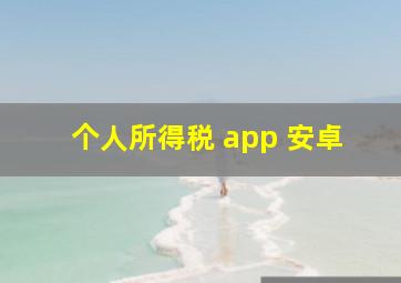 个人所得税 app 安卓